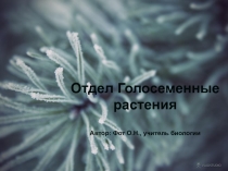 Презентация к уроку биологии в 7 классе 