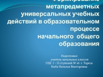 Формирование метапредметных универсальных учебных действий в образовательном процессе начального общего образования