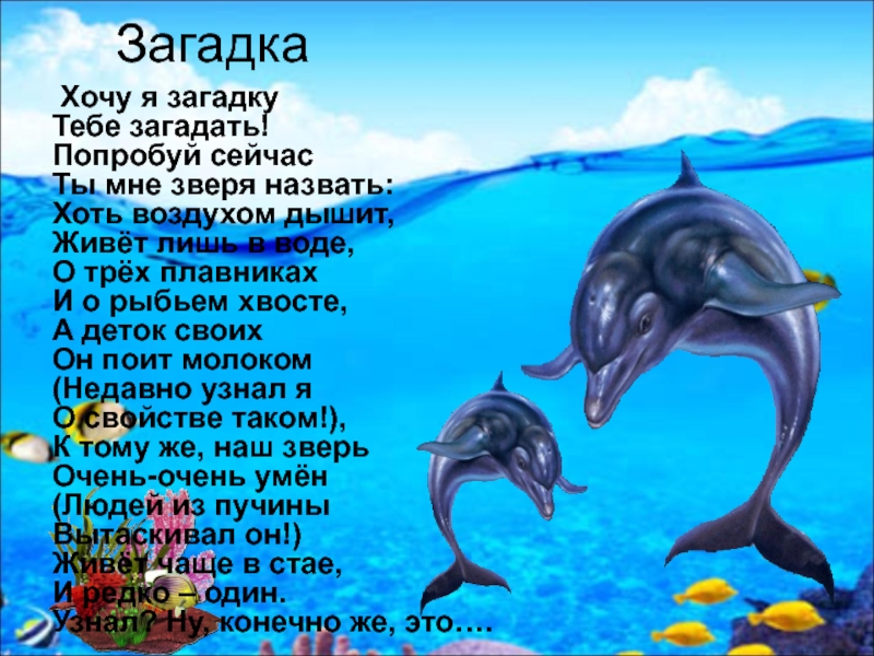 Загадки хочу