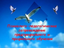 Психолого-педагогическое сопровождение предпрофильного и профильного обучения