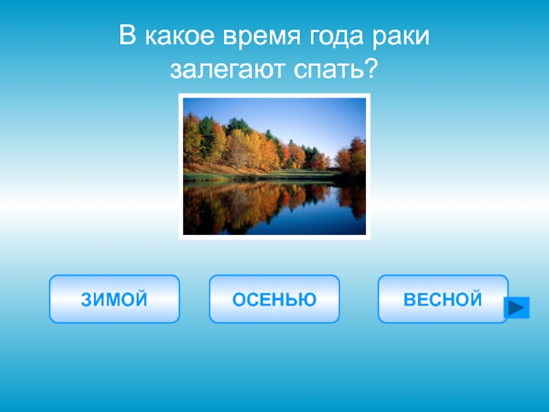 Что какое время года. Какое время года.