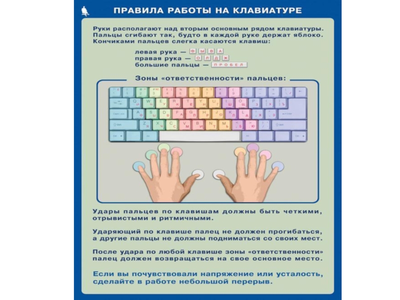 Тренировочная по информатике 5. Правила работы на клавиатуре. Правильная расстановка пальцев на клавиатуре. Пальцы на клавиатуре. Правила работы на клавиатуре компьютера.