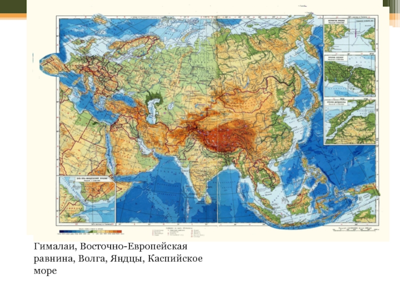 Гималаи на карте евразии. Платформенные орогены. Карта растительности Евразии. Тянь-Шань на карте Евразии. ЭПИПЛАТФОРМЕННЫЙ орогенез Урала.