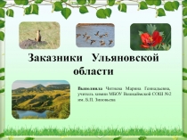 Заказники Ульяновской области