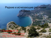 Редкие и исчезающие растения Крыма