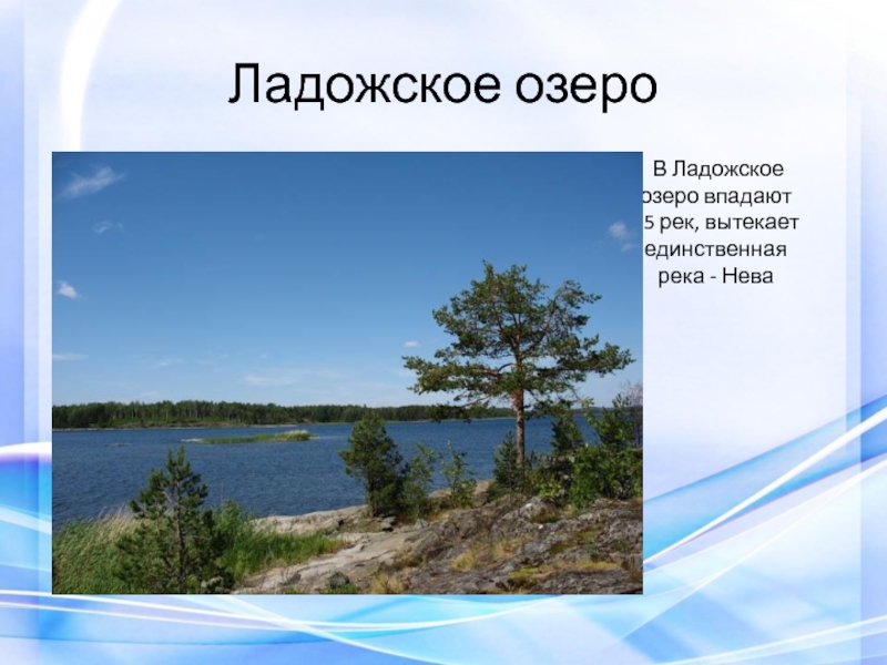 Озеро впадает. Реки Ладожского озера. Реки впадающие в Ладожское озеро. Ладожское озеро презентация. Ладожское озеро география.