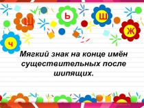 Правописание мягкого знака на конце шипящих имен существительных