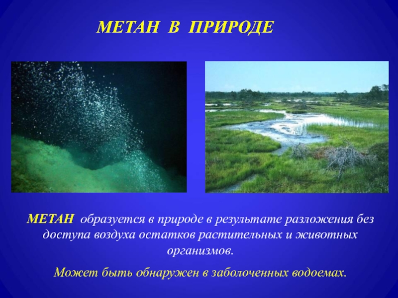 Название болотного газа. Метан в природе. Нахождение в природе метана. Метан в природе встречается. Как образуется метан в природе.