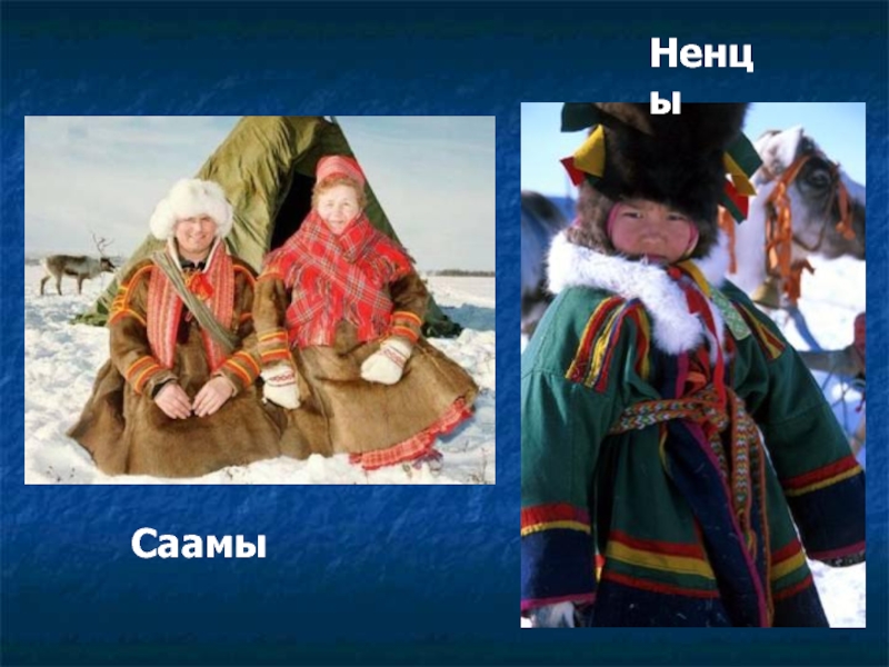 Коренные народы европейского севера. Саамы и ненцы. Народы европейского севера саамы. Саамы география. Саамы ненцы Коми Карелы.