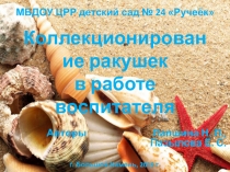 Коллекционирование ракушек в детском саду