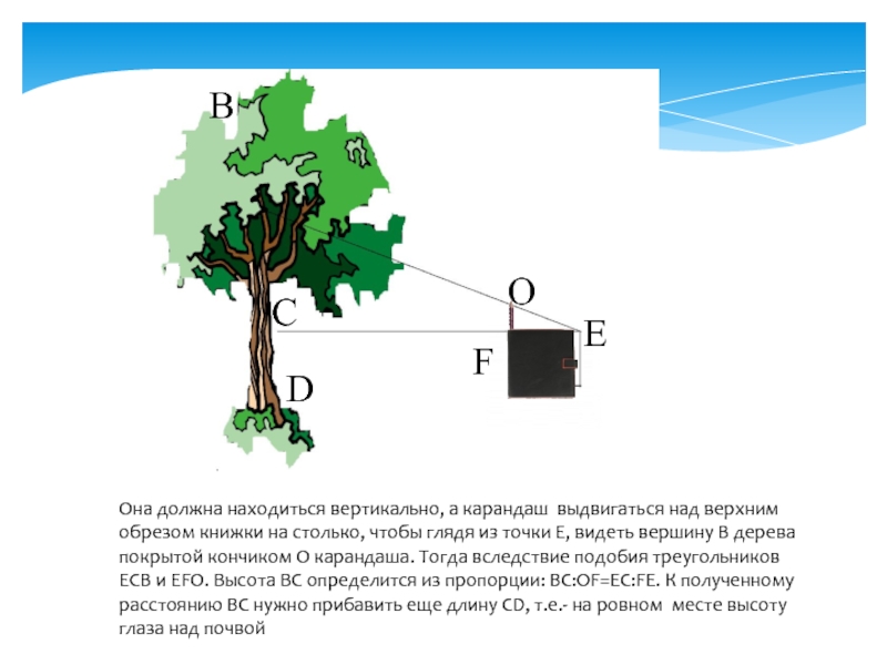 Следует находиться