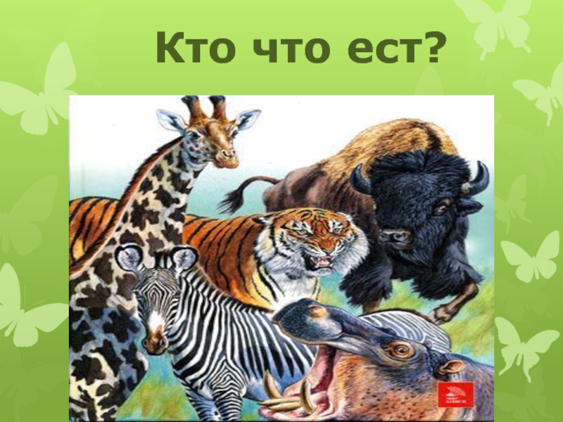 Презентация кто что ест 3 класс