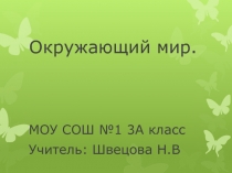 Презентация к уроку окружающего мира на тему: 