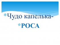 Окружающий мир. Роса- чудо природы.