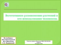 Презентация к уроку: Вегетативное размножение растений