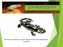 ?осмекенділерді? таби?атта?ы ж?не адам ?міріндегі ма?ызы. презентация