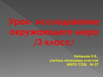 Презентация к уроку-исследования 