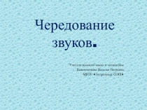 Презентация по русскому языку 