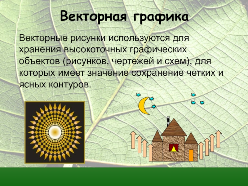 Достоинство растрового изображения четкие и ясные контуры небольшой