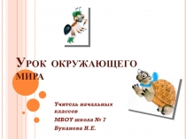 Презентация к уроку окружающего мира в 1 классе 