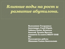 Влияние воды на рост и развитие комнатного растения - абутилона.