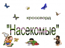 Разнообразие насекомых