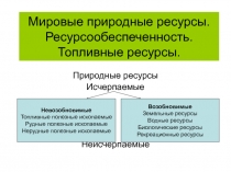 Мировые природные ресурсы. Ресурсообеспеченность. Топливные ресурсы