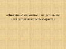 Презентация для дошкольников Домашние животные и их детеныши (для детей младшего возраста)