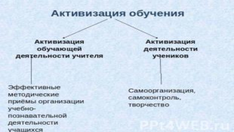 Реферат: Активизация познавательного интереса на уроках биологии