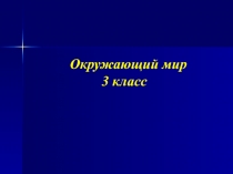 Презентация по окружающему миру на тему 