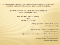 Детское научное объединение обучающихся Пифагорейский союз Исследовательская работа тема Шары Кусудамы