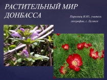 Растительный мир Донбасса