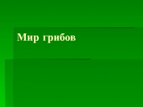 Мир грибов