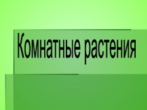 Разнообразие комнатных растений