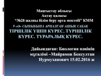 Тіршілік үшін күрес. Түрішілік күрес. Түраралық күрес. Сұрыптаудың тиімділігі.