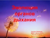 Методическая разработка к уроку биологии для 7 класса, УМК Пасечник В.В. / презентация по теме 