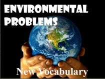 Enviromental Problems