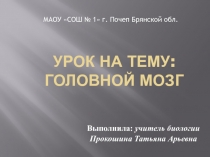 Головной мозг: специфические черты строения его, отличающие человека от животных