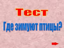 Тест по развитию устной речи: 