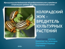 Презентация к уроку биологии в 7 классе. 