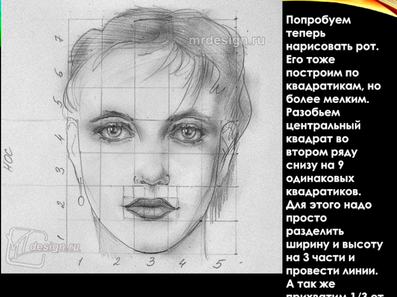 Как называется рисунок человека лица