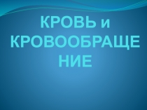 Кровь и система кровообращения.