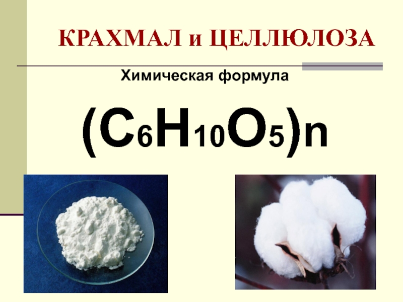 Крахмал презентация по химии 10 класс