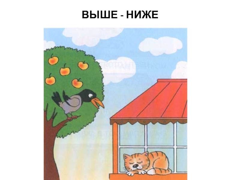 Близко изображение. Ближе дальше выше ниже. Пространственные отношения: выше, ниже.. Пространственные отношения выше и ниже для дошкольников. Упражнение высокий низкий.