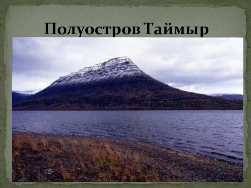 Полуостров таймыр презентация