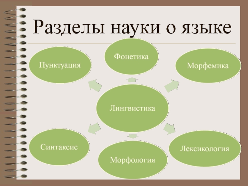 Разделы науки о языке 6 класс презентация