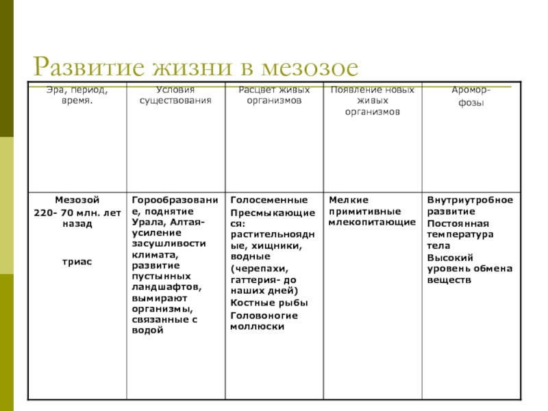 Уровни развития жизни