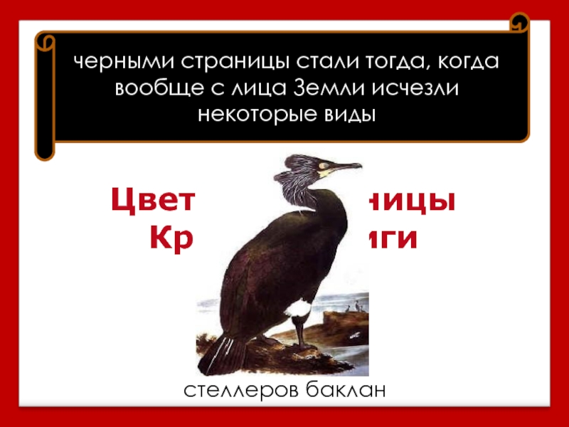 Черные страницы красной книги. Черная страница. Черные страницы красной книги презентация. Черные страницы 2 класс красная книга. Красная книга России окружающий мир 3 класс черные страницы.