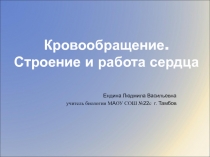 Кровообращение. Строение и работа сердца