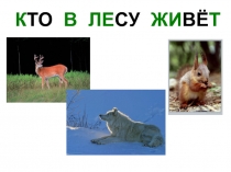 Кто в лесу живет?